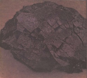 CARVÃO-DE-PEDRA — Paraná